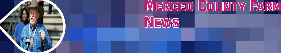 Merced ca news